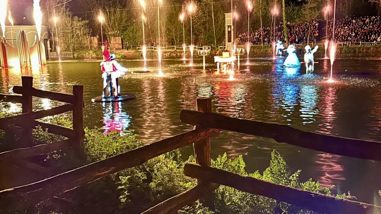 Effets de flammes pendant un spectacle nocturne
