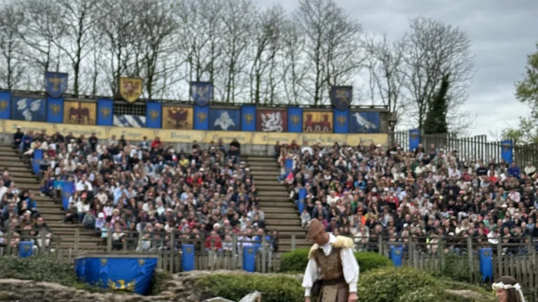 Gradins remplis dans une arène de spectacle